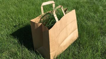 Compra verde